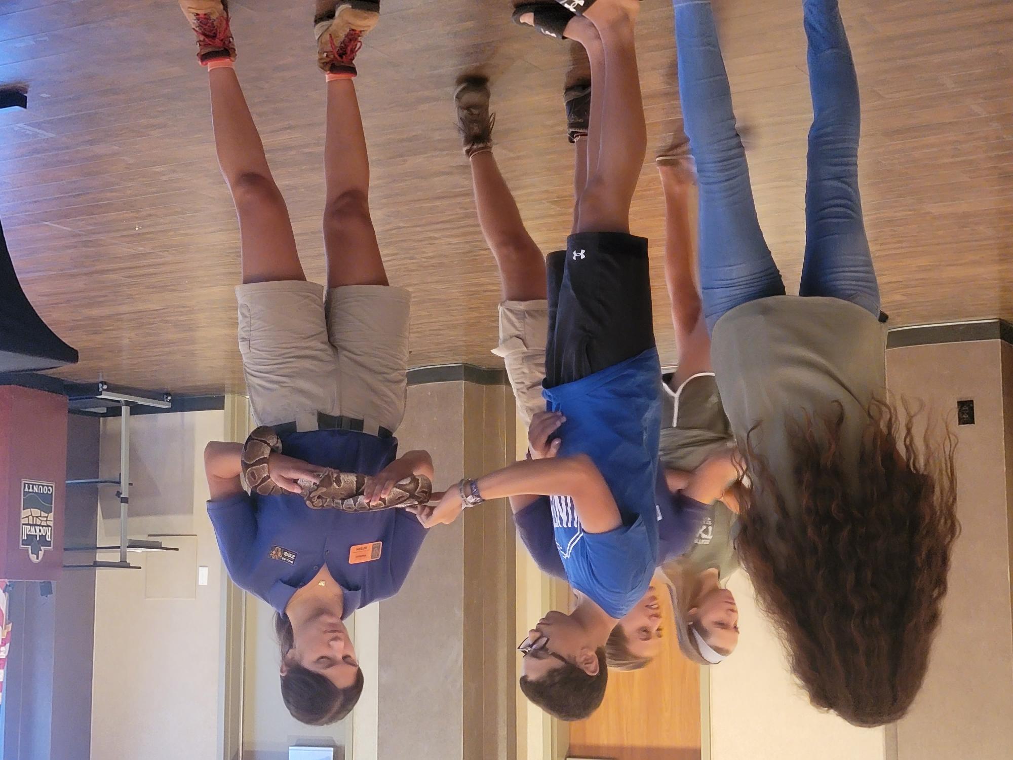 Dallas Zoo Boa Constrictor Pic 1