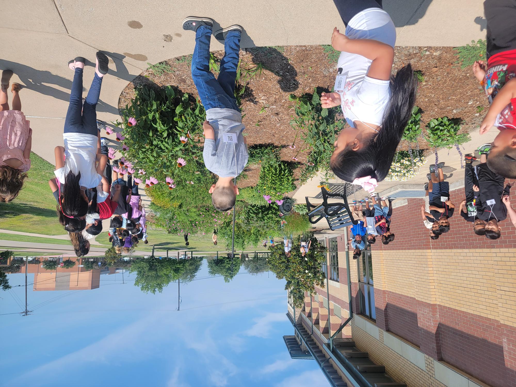 Royse City Visit Butterfly Garden Pics 2