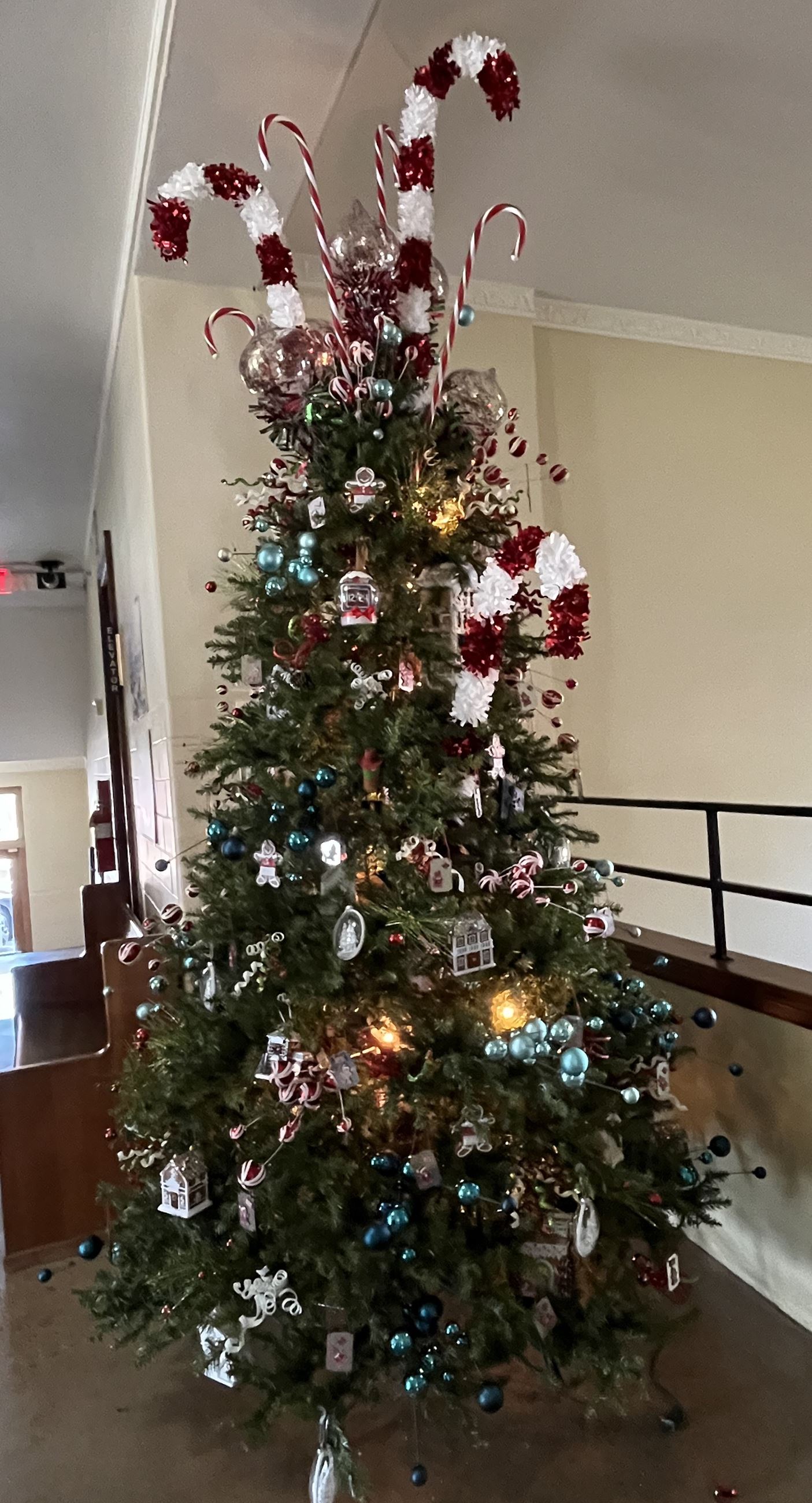 Historic Courthouse Tree 3